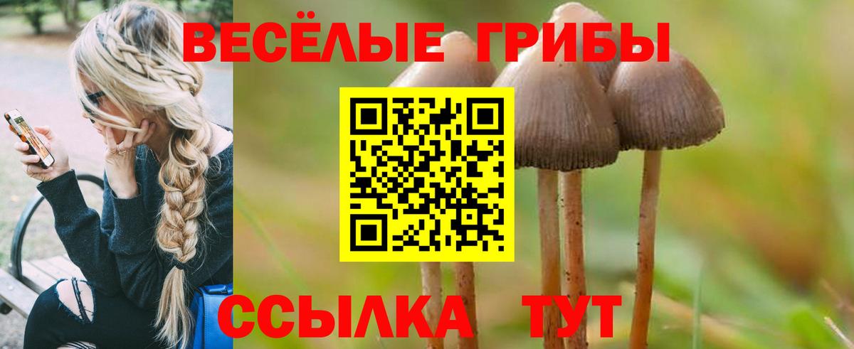 Галлюциногенные грибы мухоморы Мценск